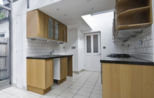 Bushy Common kitchen extension leads